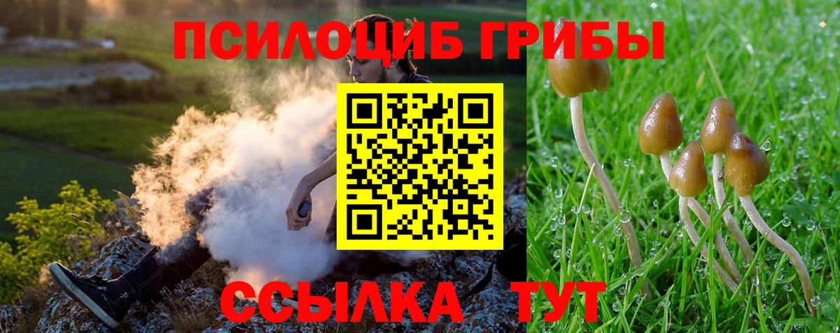 Псилоцибиновые грибы прущие грибы Псков