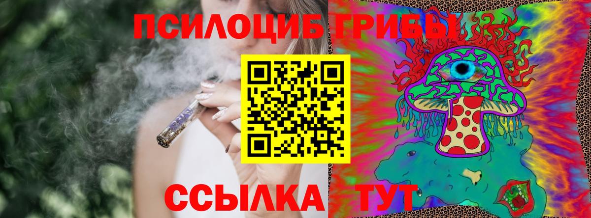 Псков  Галлюциногенные грибы Magic Shrooms  Вход с VPN 